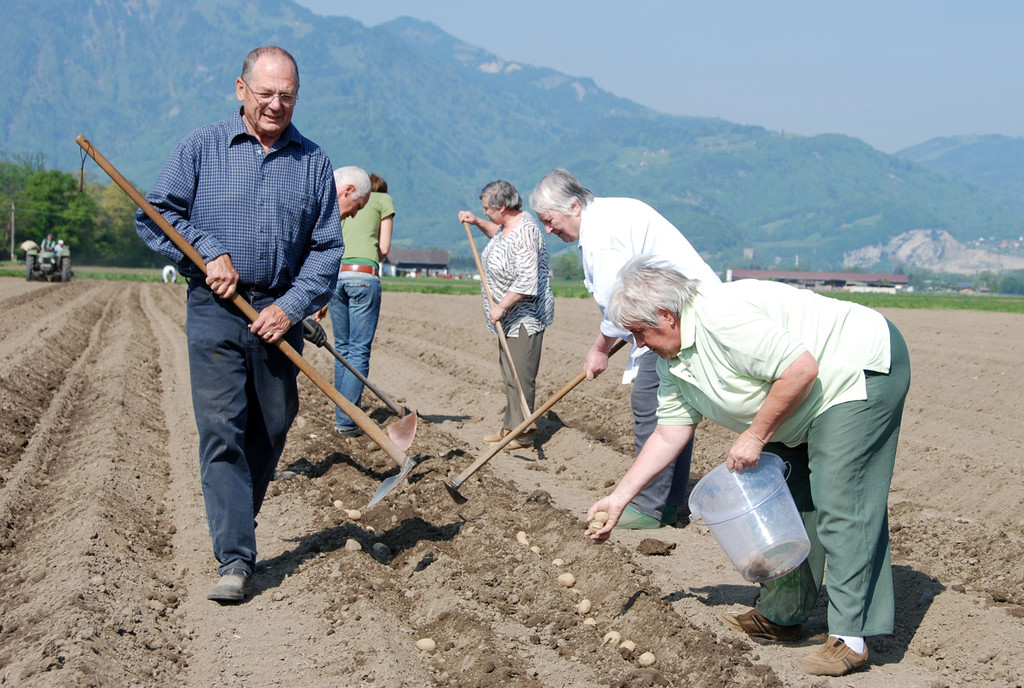 tatkr__ftige helferinnen und helfer am werk_JPG-1303823621