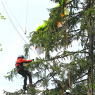 Paragleiterbergung Schnifis38.jpg