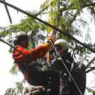 Paragleiterbergung Schnifis24.jpg