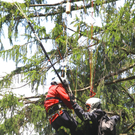 Paragleiterbergung Schnifis20.jpg