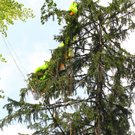 Paragleiterbergung Schnifis17.jpg