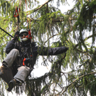 Paragleiterbergung Schnifis02.jpg