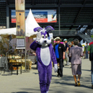 Schmunzelhase in Aktion