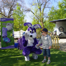 110_3887_JPG-1303848508