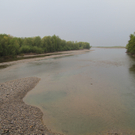 IMG_1387.jpg