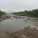 IMG_1386.jpg