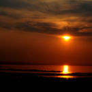 DSC_8000.JPG