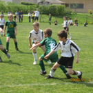 IMG_4463_JPG-1303906564