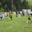 IMG_4479_JPG-1303906576