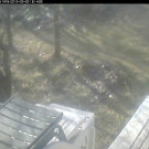 Livecam Residenz Rainer