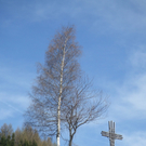 CONVAR93.jpg