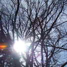 DSCF9190.JPG
