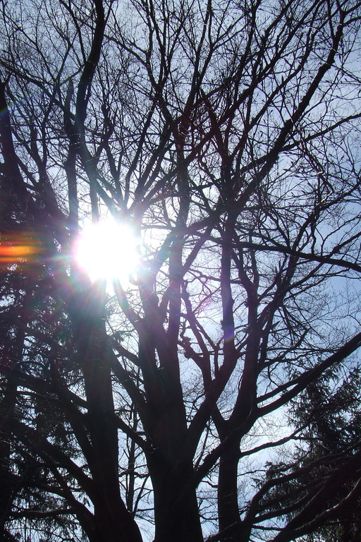 DSCF9190.JPG
