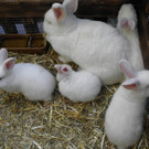 P4230627 - Kopie.JPG