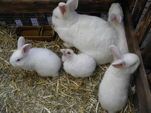 P4230627 - Kopie.JPG