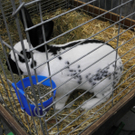 P4230630 - Kopie.JPG