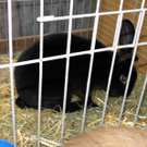 P4230631 - Kopie.JPG