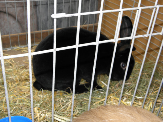 P4230631 - Kopie.JPG