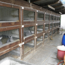 P4270633 - Kopie.JPG