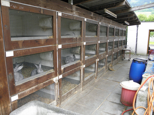 P4270633 - Kopie.JPG