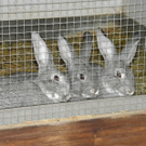 P4270635 - Kopie.JPG