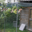 P4270636 - Kopie.JPG