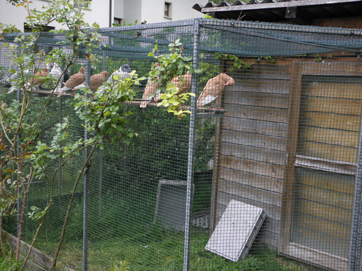 P4270636 - Kopie.JPG