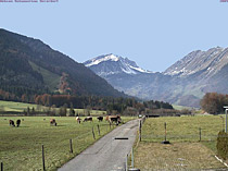 cam115minibild.jpg