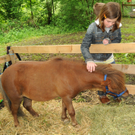 a Tierausstellung 15_05_2010 59_jpg-1303999178