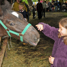 a Tierausstellung 15_05_2010 128_jpg-1303999314