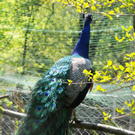 Naturpark 36_jpg-1303999454