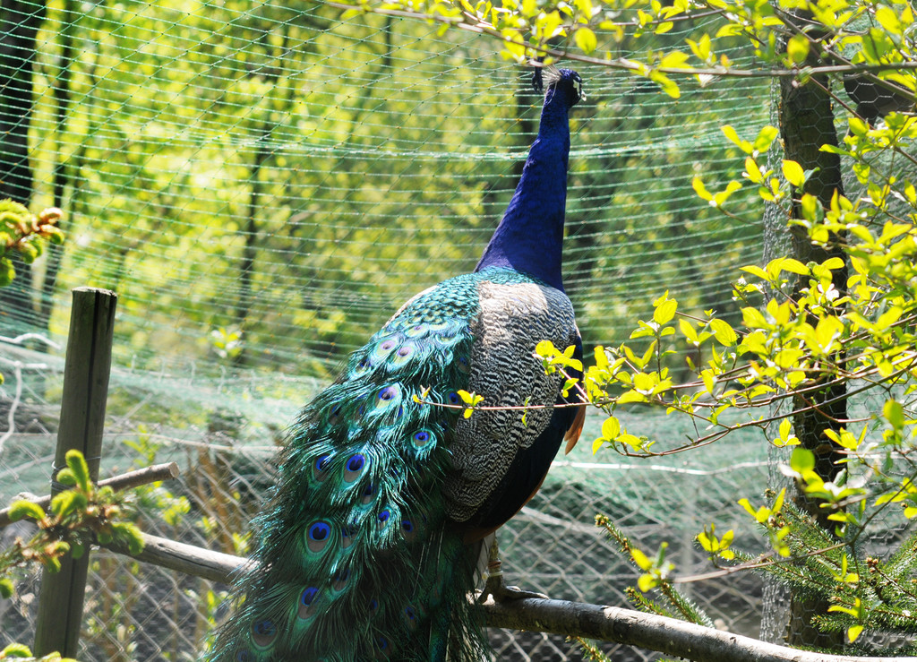 Naturpark 36_jpg-1303999454