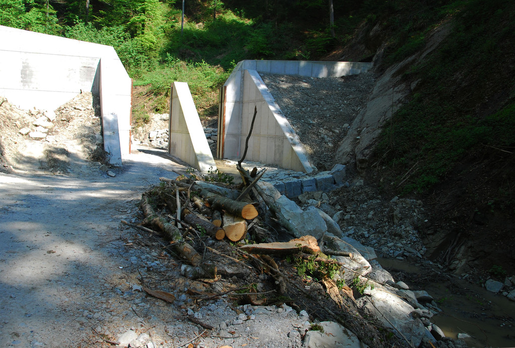 geschiebesperre_rickenbach02_jpg-1304070564