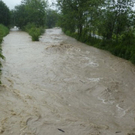 wolfurt_hochwasser_bildsteinerstrasse01_sommer2010_jpg-1304070680