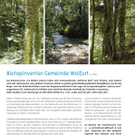 wolfurt_info_fruehling_2011-17_jpg-1304072151