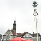 Maibaum 2010 35_jpg-1304082588