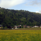 067_bearbeitet-2_jpg-1304126609