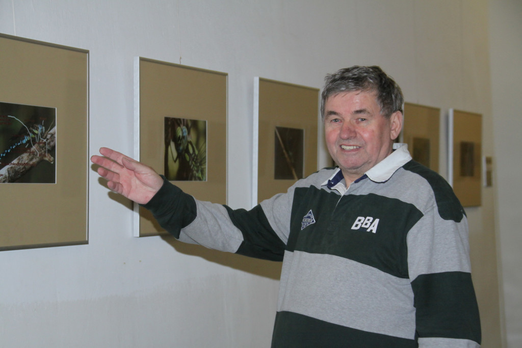 Libellenausstellung  2011 _11__jpg-1304153614