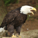 IMG_5146.jpg