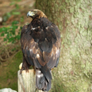 IMG_5128.jpg