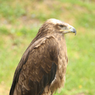 IMG_5125.jpg