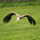 IMG_5349.jpg