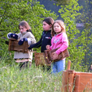 004_bearbeitet-2_jpg-1304176764