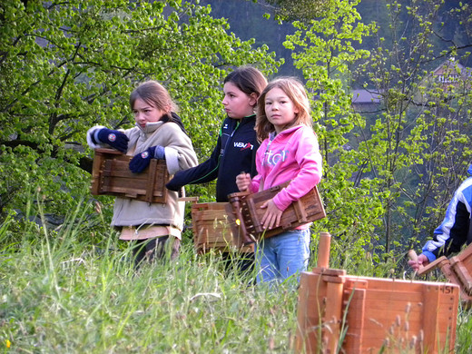 004_bearbeitet-2_jpg-1304176764