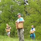 006_bearbeitet-2_jpg-1304176818