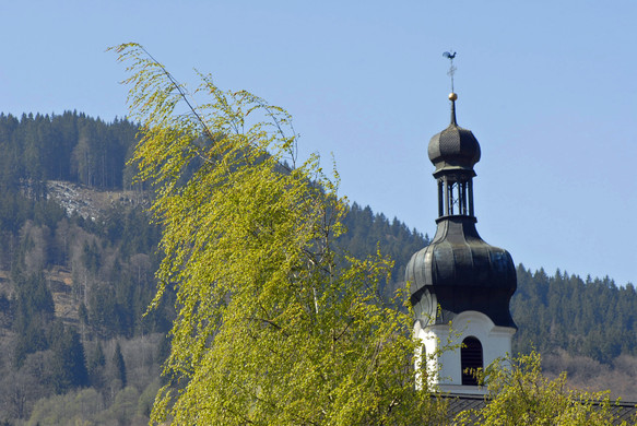 097_JPG-1304204415