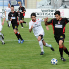 FCV-Egg 30_04_2011 174_jpg-1304234195