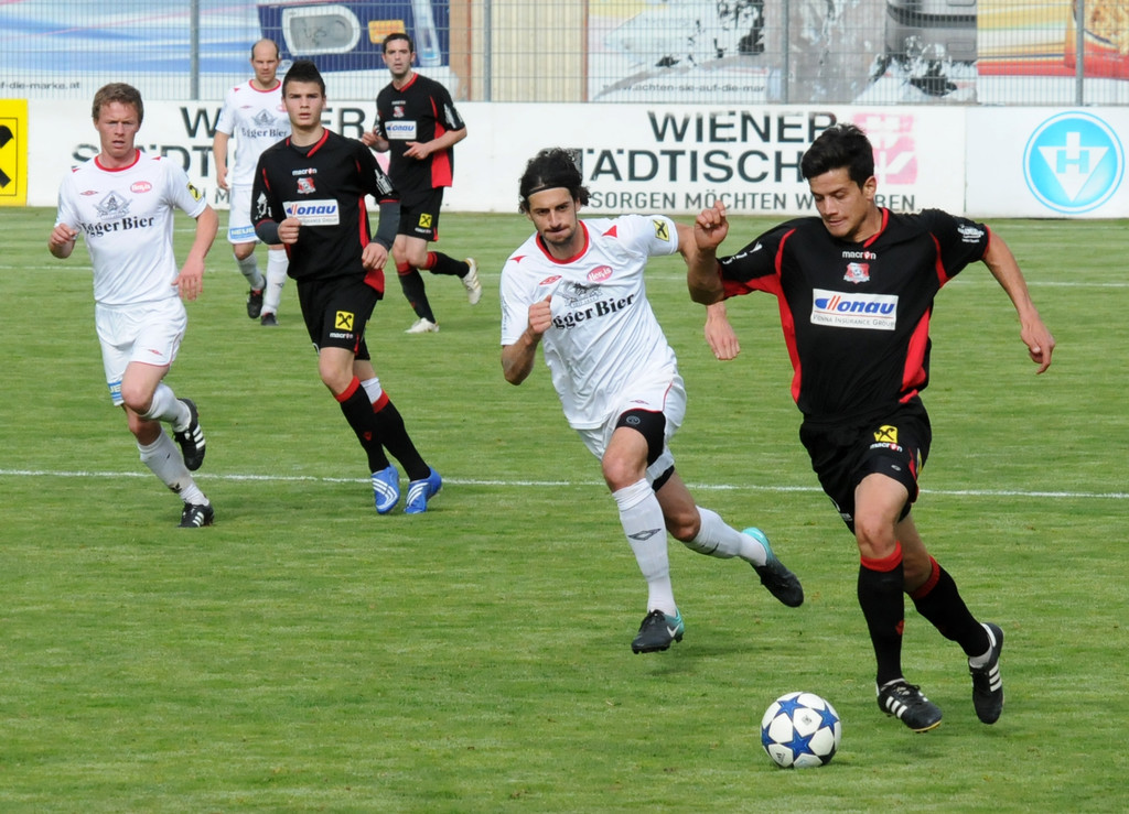 FCV-Egg 30_04_2011 174_jpg-1304234195