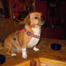 DSCN1805.JPG