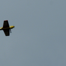 DSC05167_JPG-1304251509